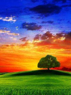 Other Wallpapers 0694